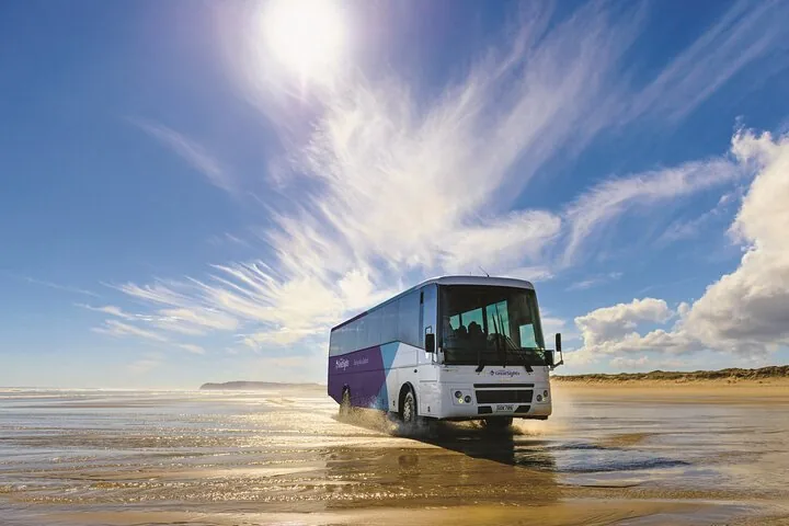 Ein GreatSights-Reisebus fährt auf dem nassen Sand des Ninety Mile Beach.