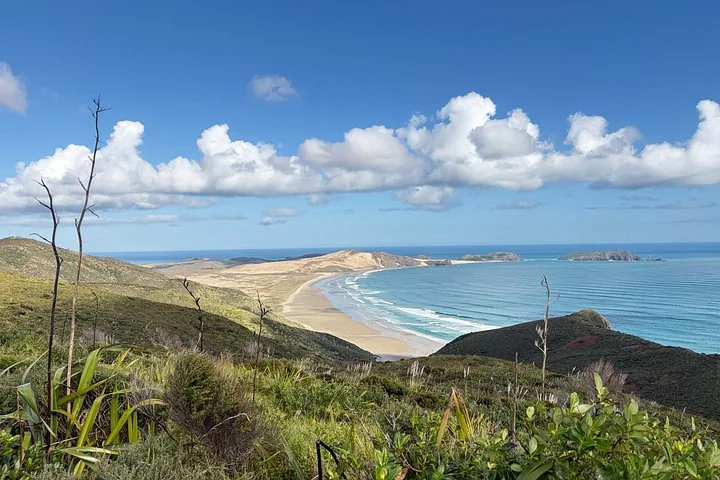Drei Menschen beim Spaziergang über die weite Sandfläche des Ninety Mile Beach.