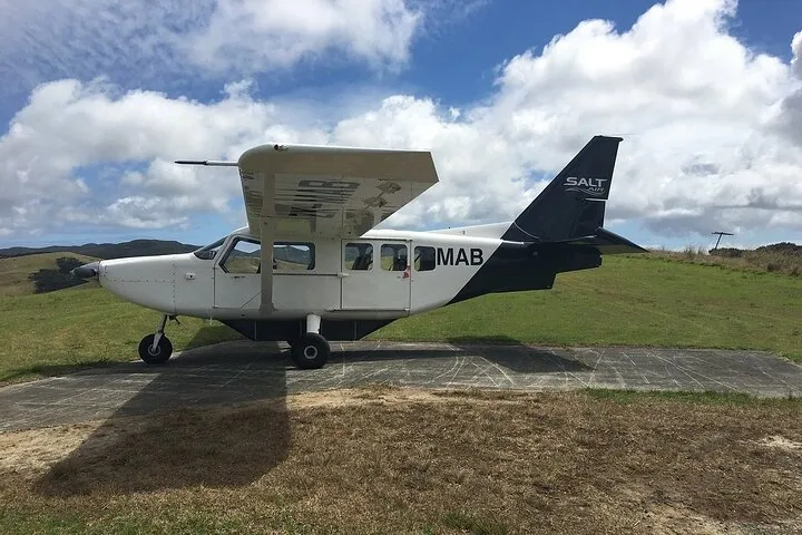 Un piccolo aereo turistico bianco di Salt Air parcheggiato su un campo di aviazione erboso.